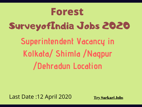 Forest SurveyofIndia Jobs 2020