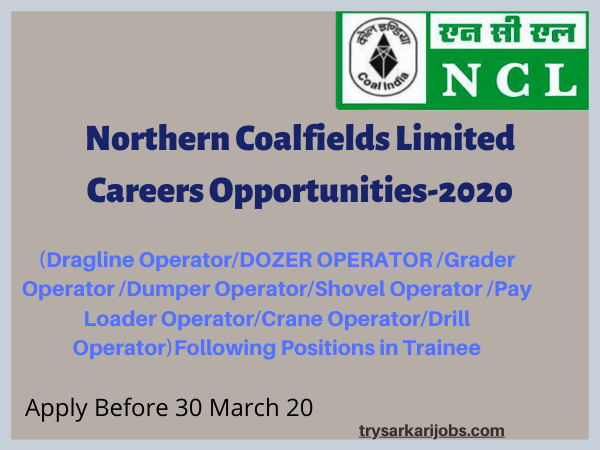 NCLCareers Jobs Opportunities-2020