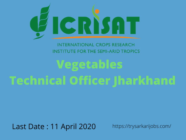 Vegetables Technical Officer Jharkhand
