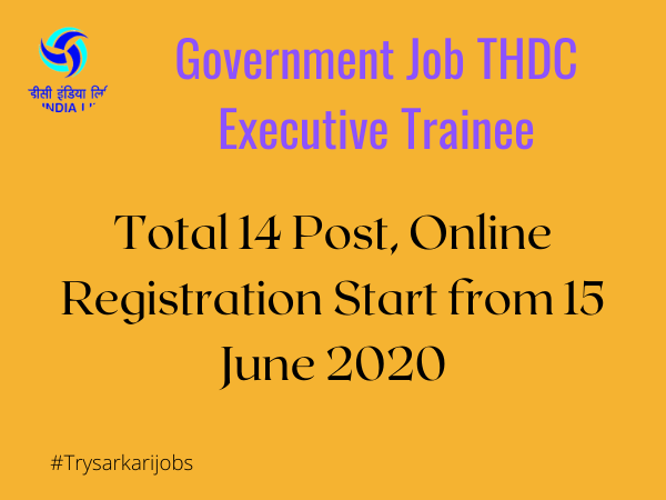 Government Job THDC Executive