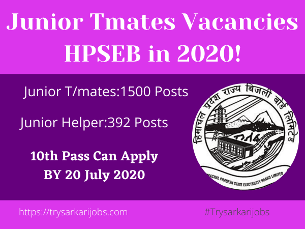 Junior Tmates Vacancies HPSEB