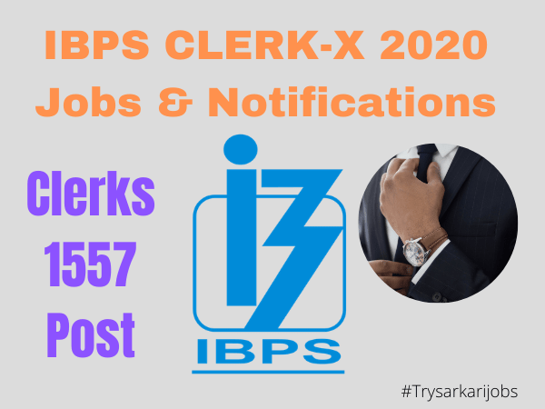 IBPS Clerks XI 2021 Jobs
