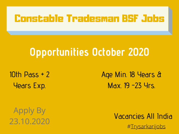 Constable Tradesman BSF Jobs