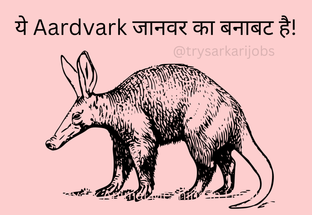 Aardvark Animal Meaning in Hindi


