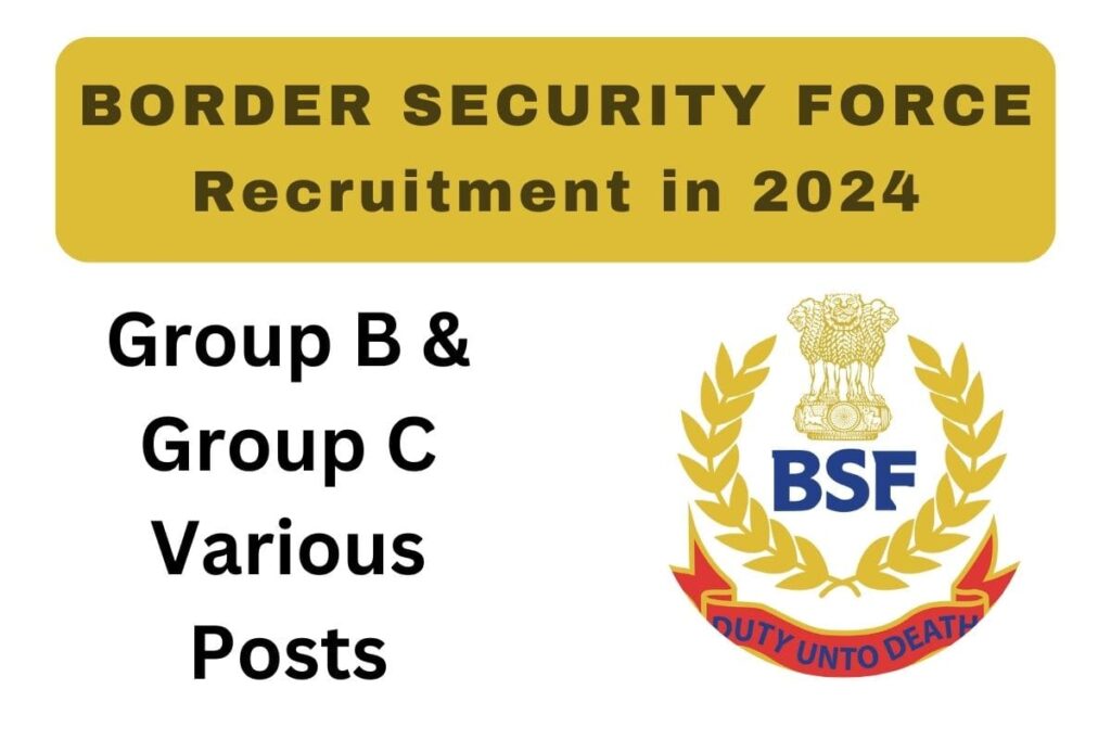 BSF Job Vacancy 2024 notification  pdf